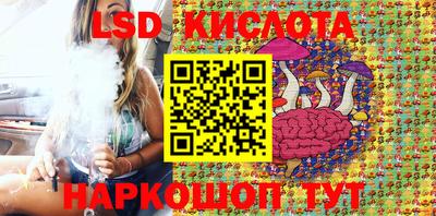 ГАЛЛЮЦИНОГЕННЫЕ ГРИБЫ Кингисепп