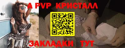 ГАЛЛЮЦИНОГЕННЫЕ ГРИБЫ Кингисепп